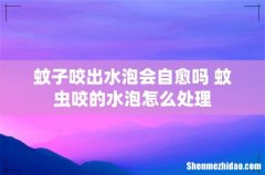 蚊子咬出水泡会自愈吗 蚊虫咬的水泡怎么处理