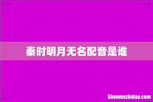秦时明月无名配音是谁