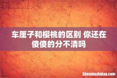 车厘子和樱桃的区别 你还在傻傻的分不清吗