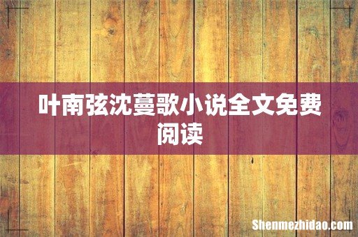 叶南弦沈蔓歌小说全文免费阅读