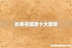 长寿花摆放十大禁忌