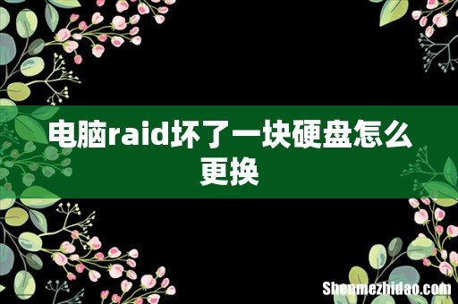 电脑raid坏了一块硬盘怎么更换