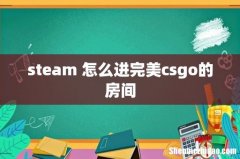 steam 怎么进完美csgo的房间