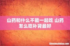 山药和什么不能一起吃 山药怎么吃补肾最好