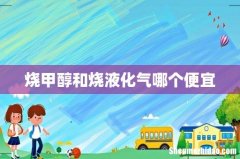 烧甲醇和烧液化气哪个便宜