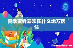 夏季蜜蜂喜欢在什么地方居住