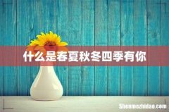 什么是春夏秋冬四季有你