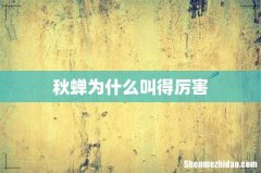 秋蝉为什么叫得厉害