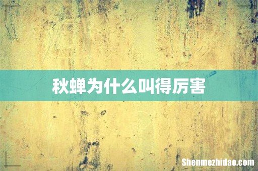 秋蝉为什么叫得厉害