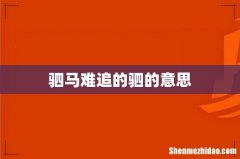 驷马难追的驷的意思