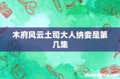 木府风云土司大人纳妾是第几集