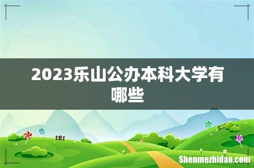 2023乐山公办本科大学有哪些