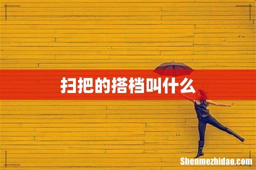 扫把的搭档叫什么