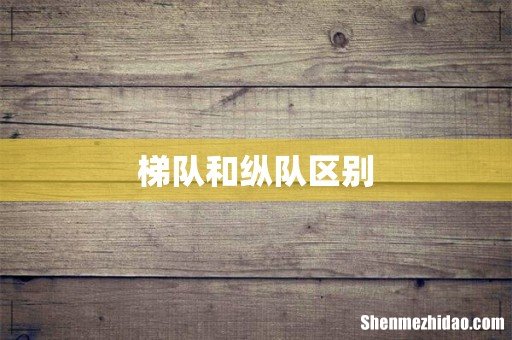梯队和纵队区别