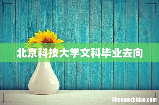 北京科技大学文科毕业去向