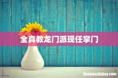 全真教龙门派现任掌门