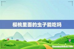 樱桃里面的虫子能吃吗