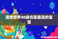 魔兽世界40级伤害最高的宝宝