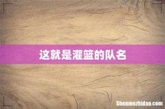这就是灌篮的队名
