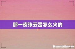 那一夜张云雷怎么火的