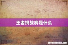 王者挑战赛是什么