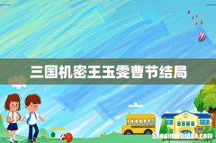 三国机密王玉雯曹节结局