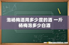 泡杨梅酒用多少度的酒 一斤杨梅泡多少白酒