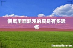 侠岚里面混沌的真身有多恐怖