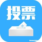微信人工投票如何查出来价格多少钱一票