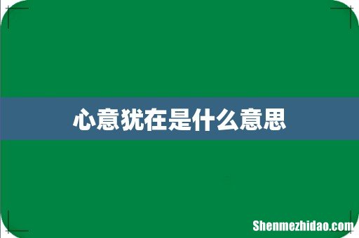 心意犹在是什么意思