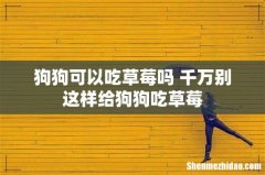 狗狗可以吃草莓吗 千万别这样给狗狗吃草莓