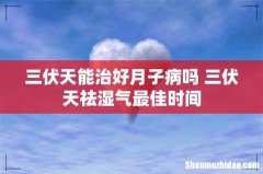 三伏天能治好月子病吗 三伏天祛湿气最佳时间