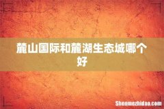 麓山国际和麓湖生态城哪个好