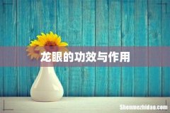龙眼的功效与作用