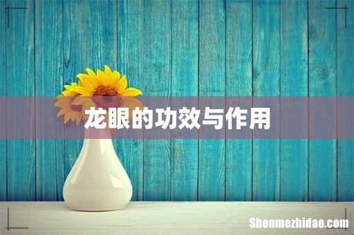 龙眼的功效与作用