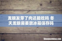 龙眼发芽了肉还能吃吗 冬天龙眼需要放冰箱保存吗
