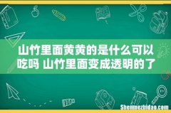 山竹里面黄黄的是什么可以吃吗 山竹里面变成透明的了是什么原因