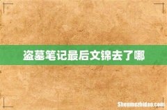 盗墓笔记最后文锦去了哪