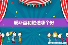 爱斯基和胜途哪个好