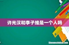 许光汉和李子维是一个人吗