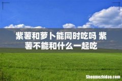 紫薯和萝卜能同时吃吗 紫薯不能和什么一起吃