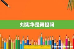 刘宪华是舞担吗