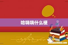 哈嗨嗨什么梗