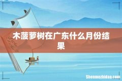 木菠萝树在广东什么月份结果