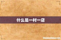 什么是一村一店