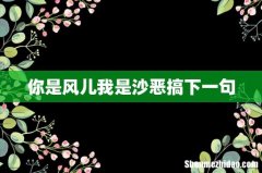 你是风儿我是沙恶搞下一句