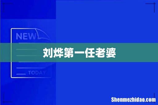 刘烨第一任老婆