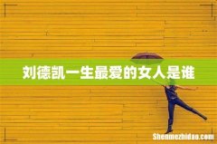 刘德凯一生最爱的女人是谁
