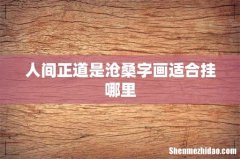 人间正道是沧桑字画适合挂哪里