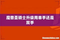 魔兽圣骑士升级用单手还是双手